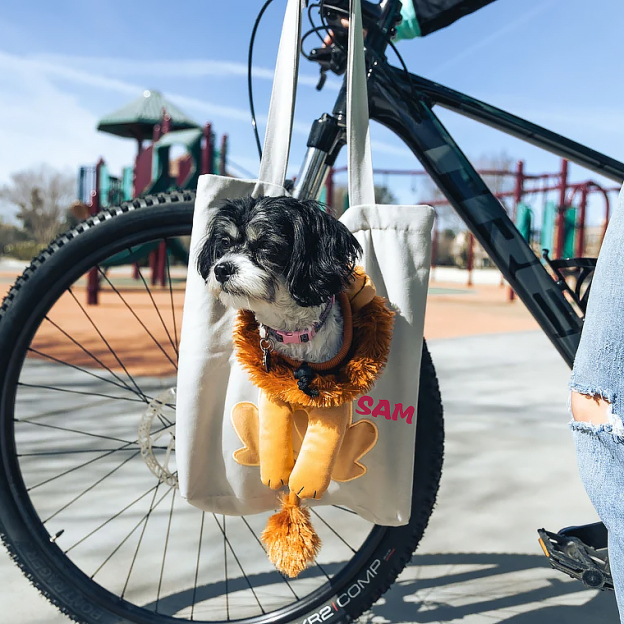 Personalized Lion Design Portable Breathable Cute Pet Carriers | BKPet60