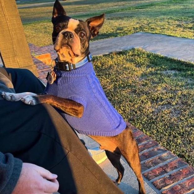 Personalized Leather Patch Pets Colourful Sweater | BKPet97