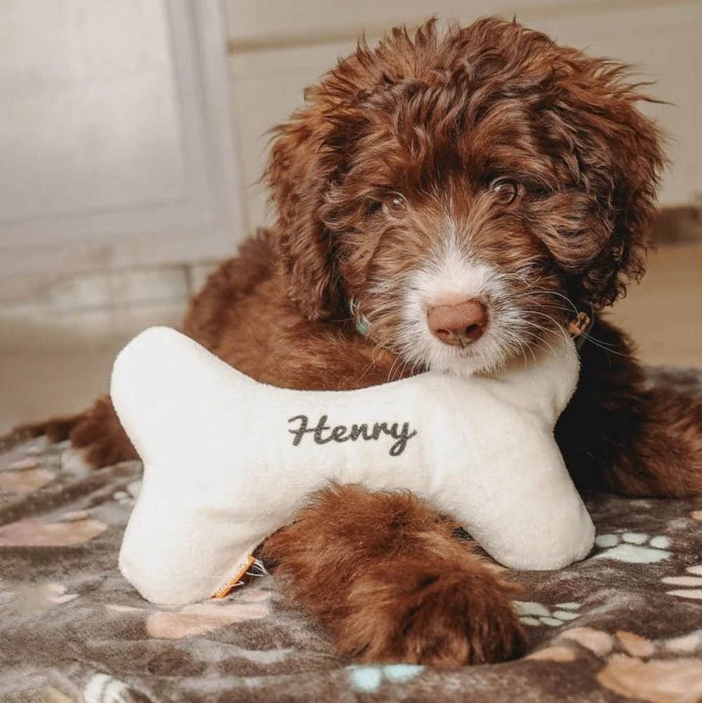 Personalized Puppy Gift Soft Bone Pillow Toy | BKPet129