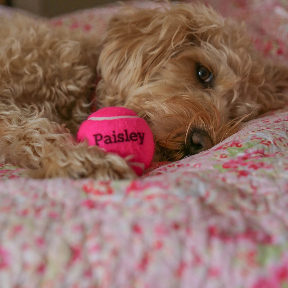 Personalized Pet Tennis Ball Toy | BKPet137