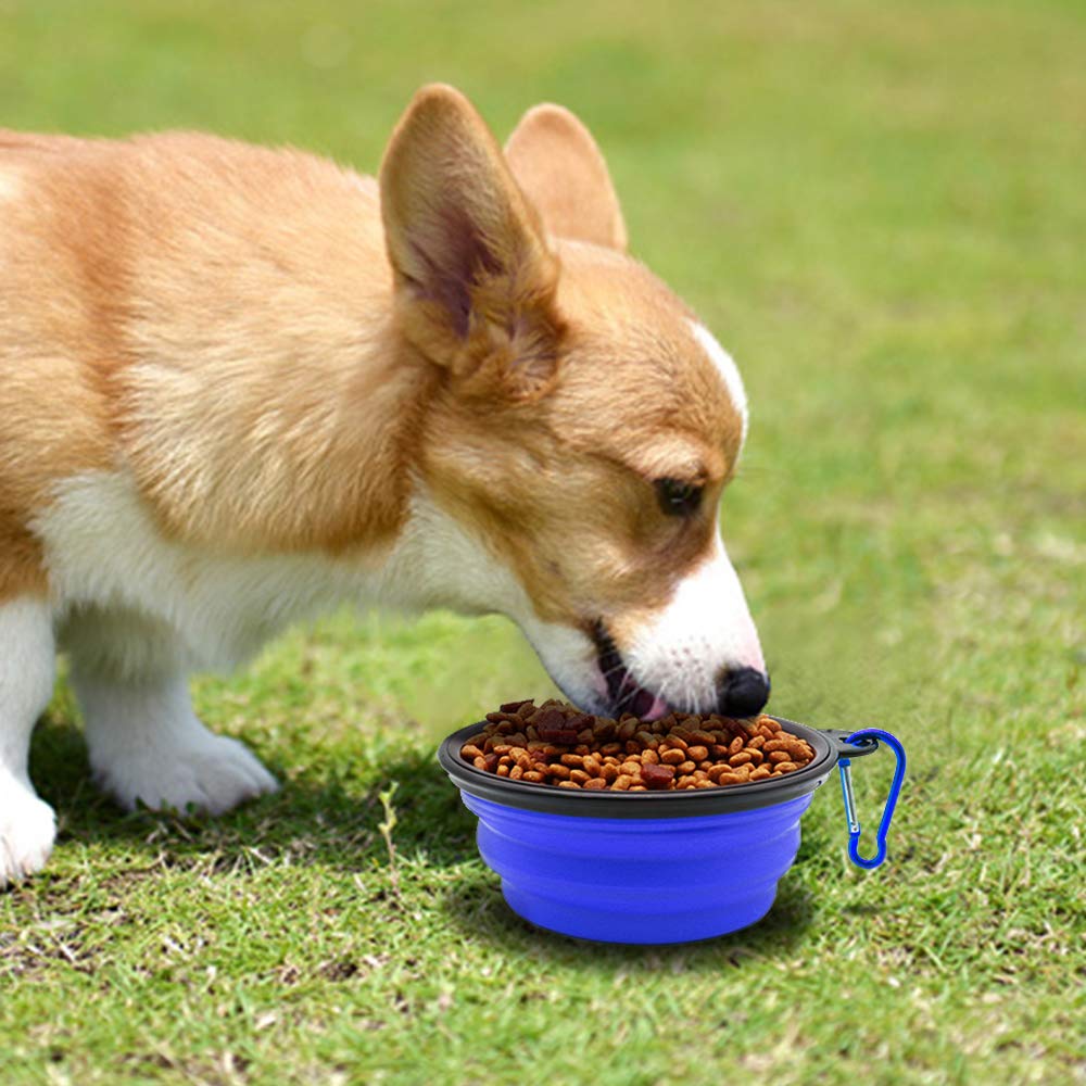 Personalized Silicone Foldable Travel Pet Bowl | BKPet79