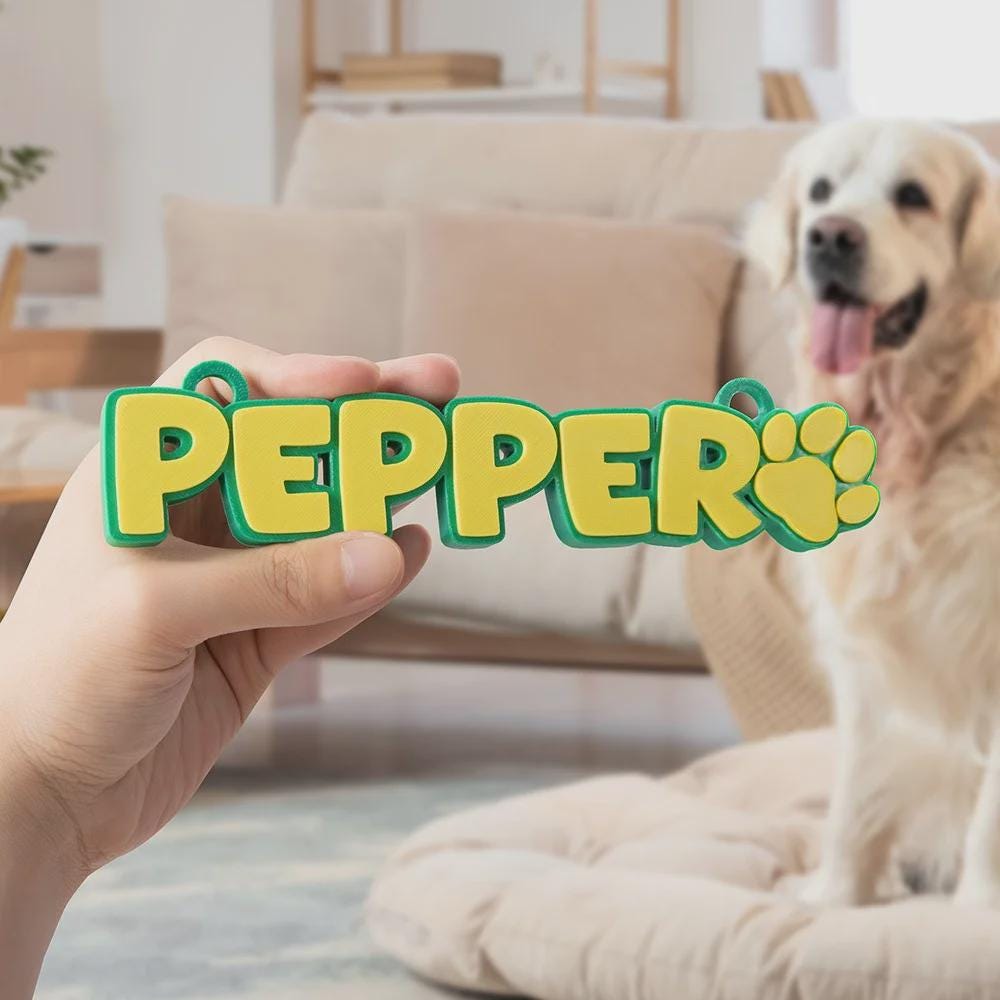Personalized 3D Printed Dog Name Crate Sign | BKPet372