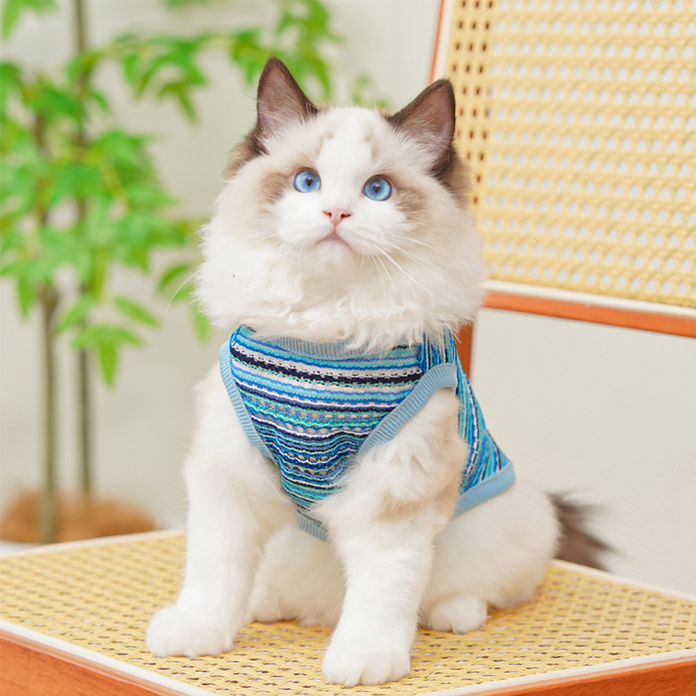 Personalized Breathable Pet Summer Cool Mesh Vest | BKPet191