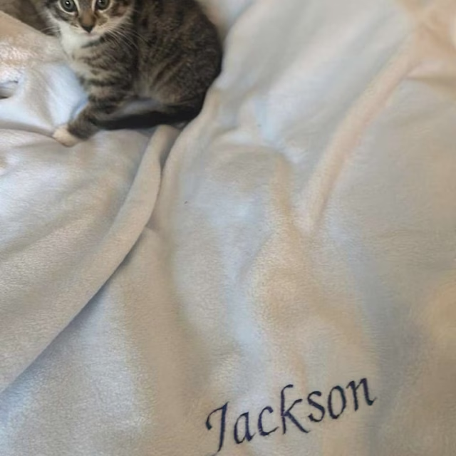 Personalized Warm Pet Blanket for Comfort & Unique | BKPet18