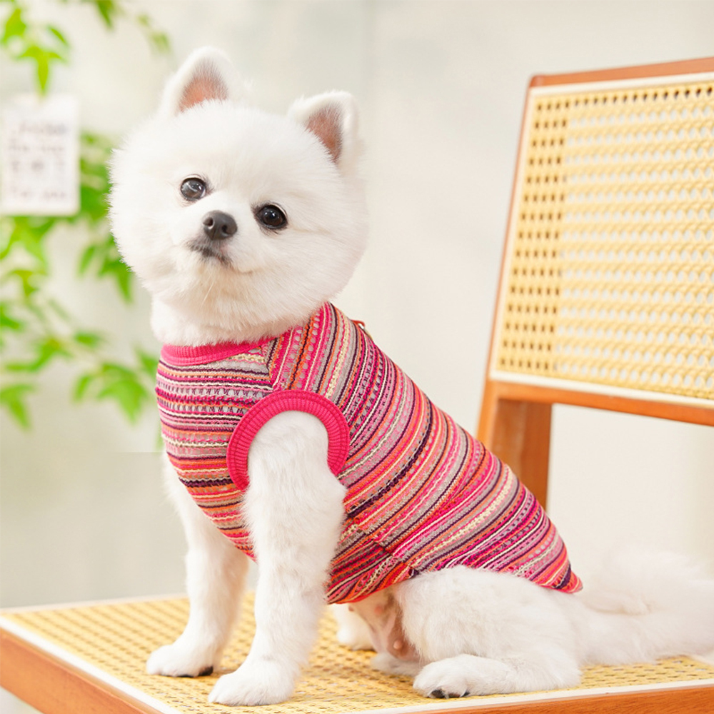 Personalized Breathable Pet Summer Cool Mesh Vest | BKPet191