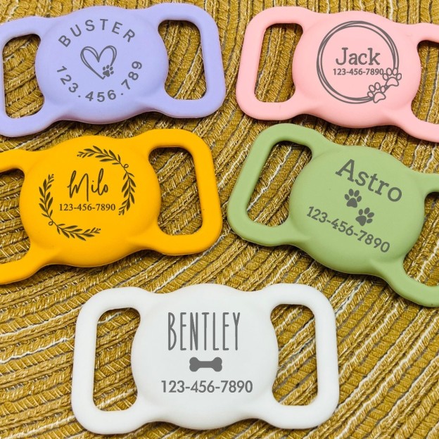 Personalized Pet Apple Air Tag Holder for Dog Collar | BKPet139