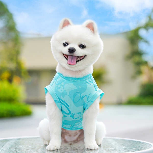 Personalized Breathable Pet Summer Cool Mesh Vest | BKPet192