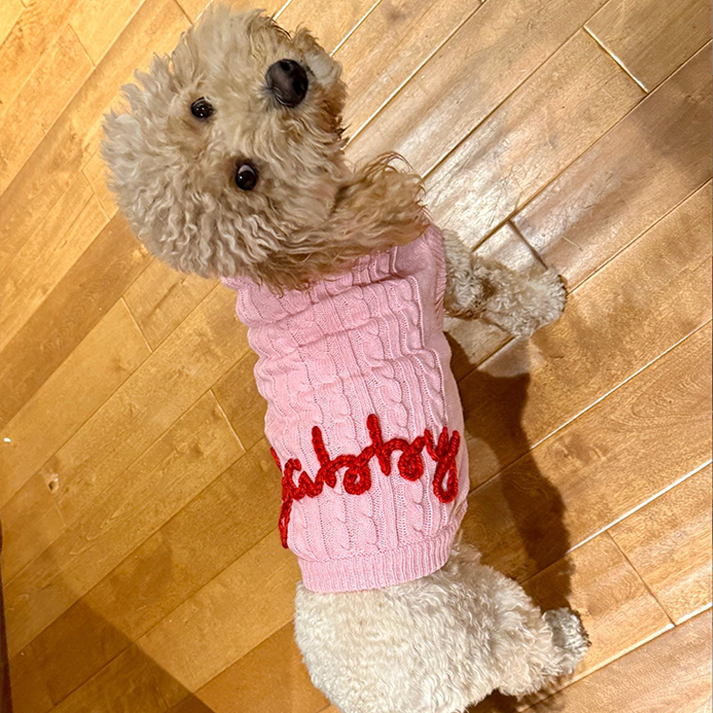 Personalized Hand Embroidery Pets Colourful Sweater | BKPet233