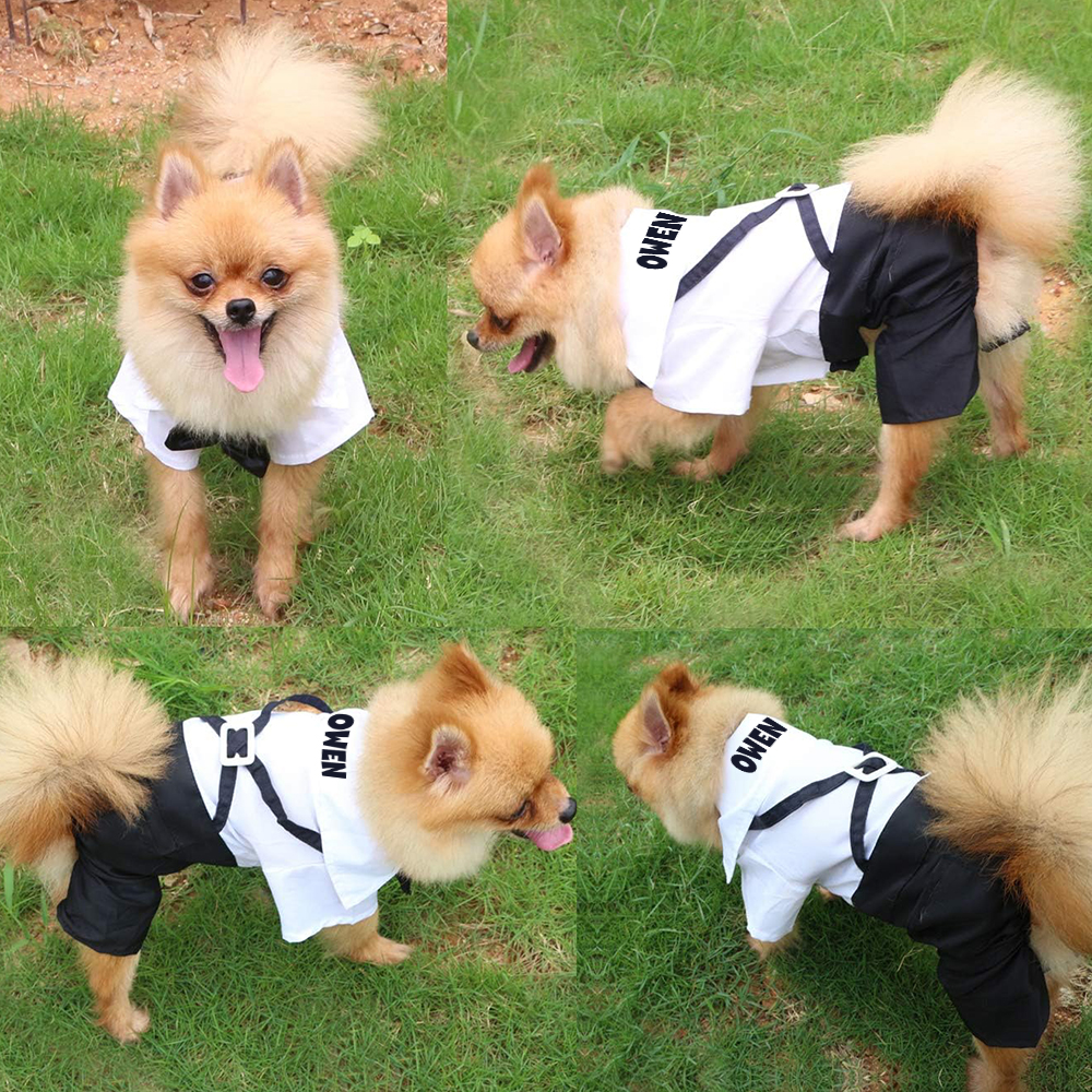 Personalized Pet Tuxedo Wedding Outfit | BKPet261