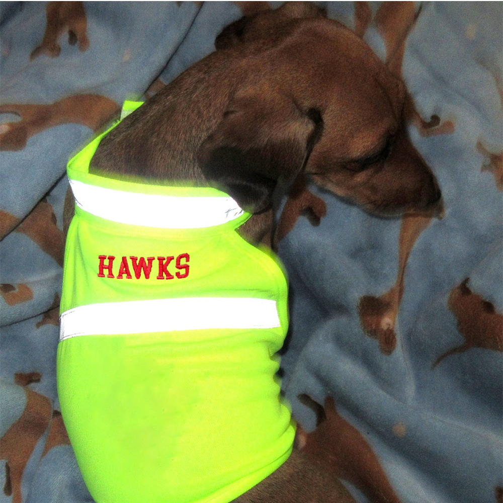 Personalized Pet Reflective Safety Bandana & Vest Set | BKPet163