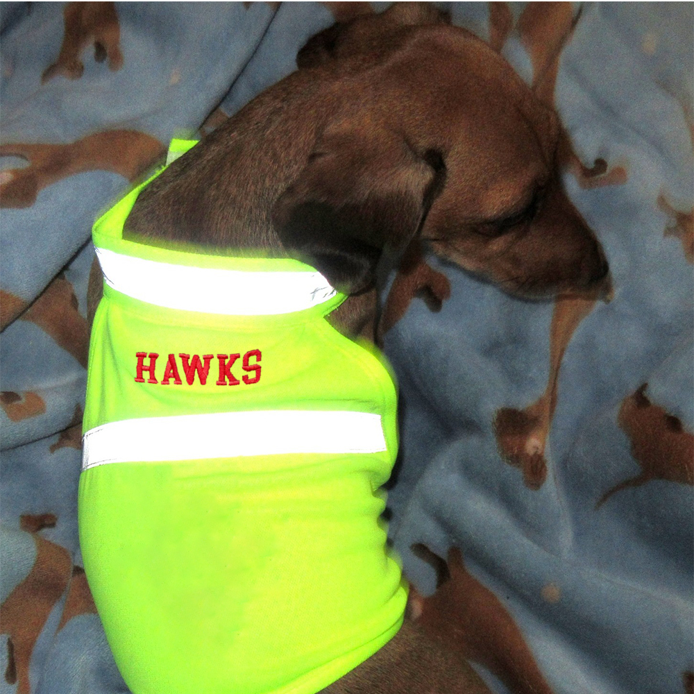 Personalized Pet Reflective Safety Bandana & Vest Set | BKPet163