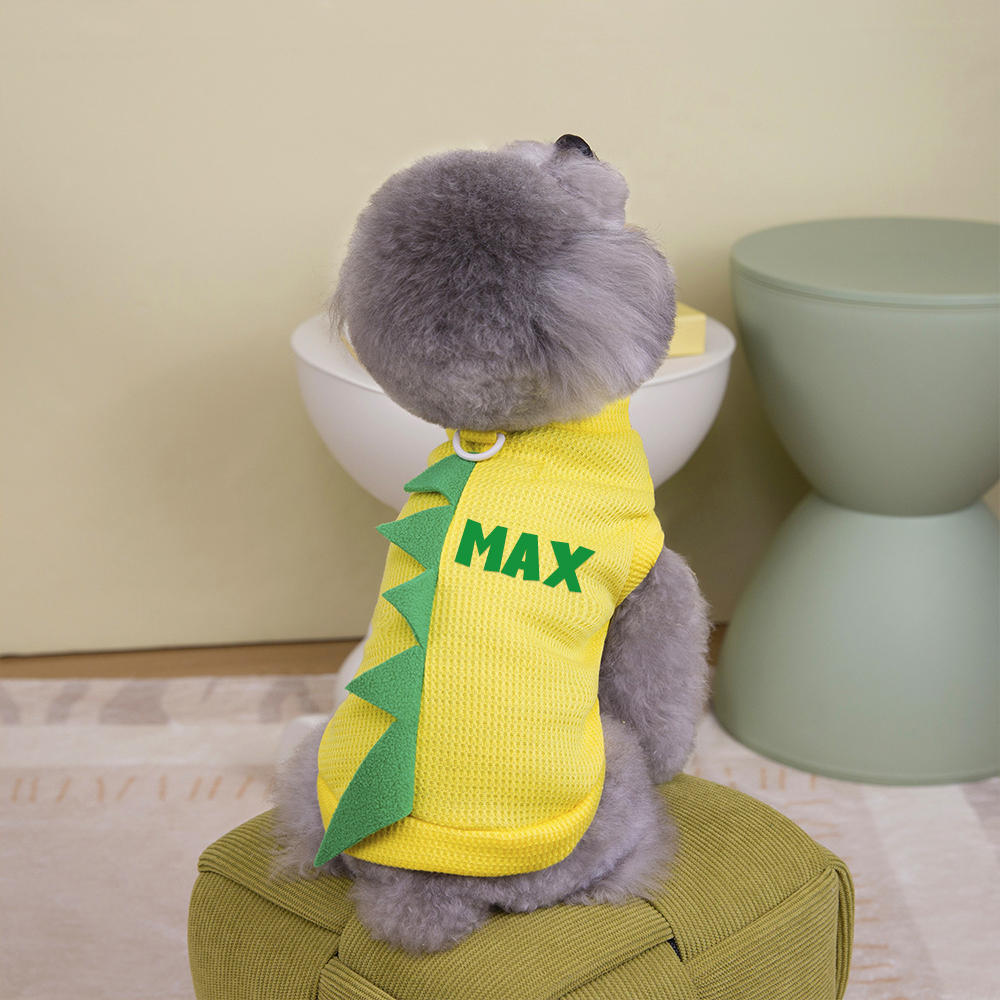 Personalized Pet Summer Lovely Dinosaur Shirt | BKPet179