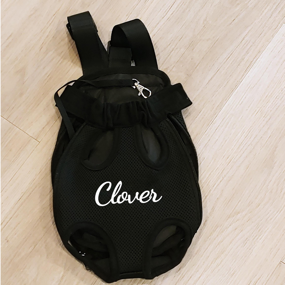 Personalized Dog Front Facing Mesh Pet Carrier | BKPet187