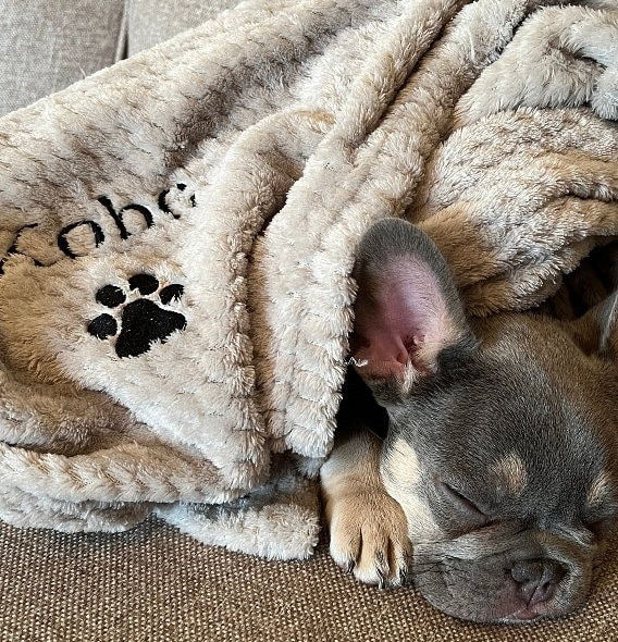 Personalized Embroidered Pet Soft Waffle Blanket | BKPet197
