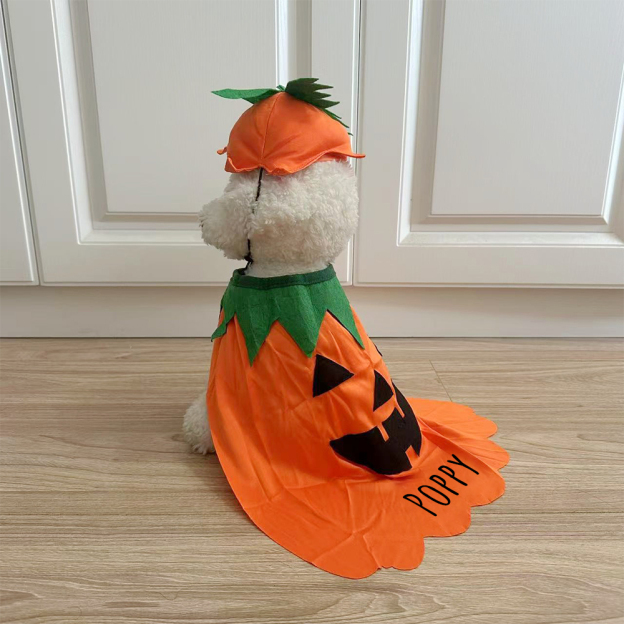 Personalized Halloween Funny Pumpkin Pet Costume | CWHalloween65