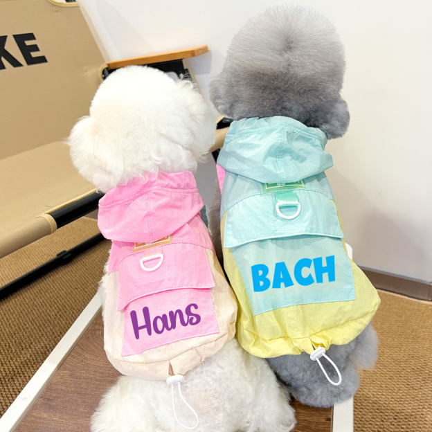 Personalized Cute Color Block Pet Summer Hoodie | BKPet207