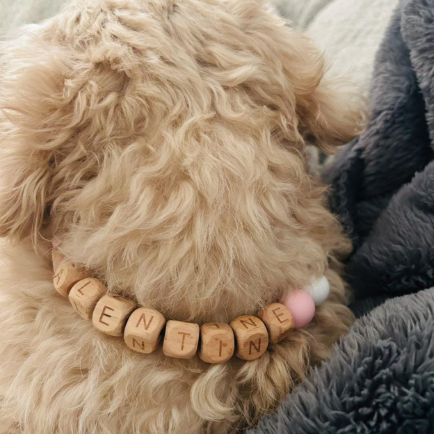 Personalized Handmade Beaded Adjustable Buckle Dog Collar | BKPet221