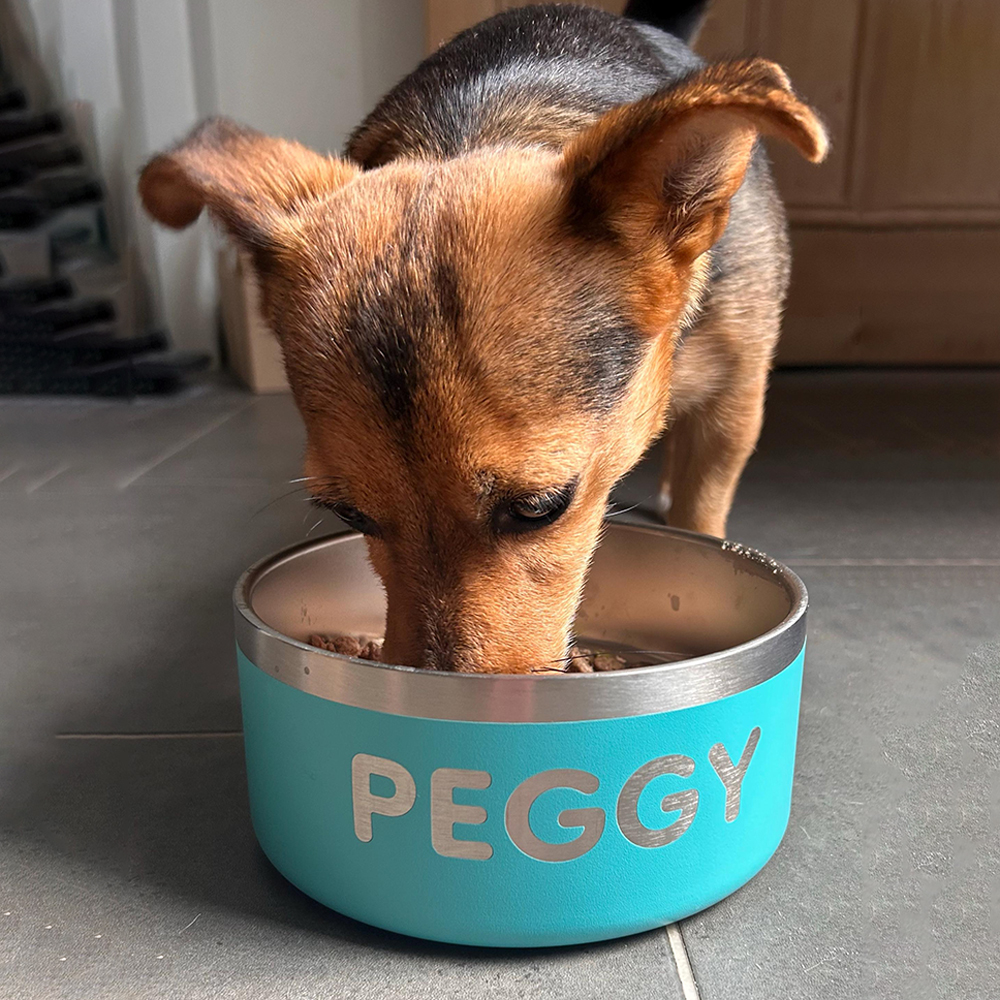 Personalized Stainless Steel Pet Food Bowl | BKPet229