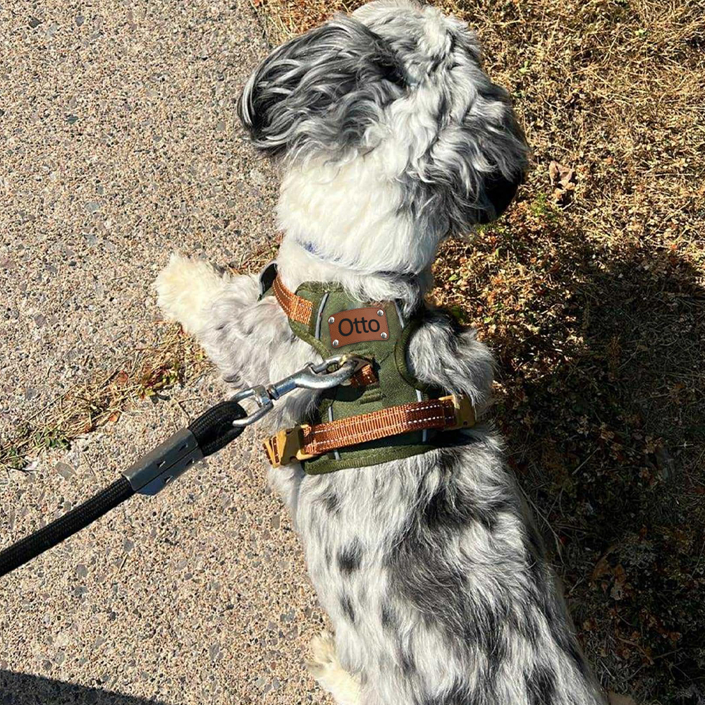 Personalized Night Reflective Luxury Puppy Harness | BKPet237