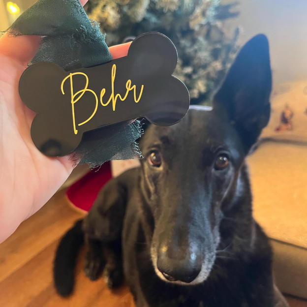 Personalized Pet Acrylic Christmas Bone Ornaments | MCGift184