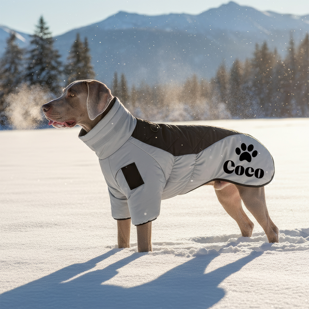 Personalized Pet Winter Warm Windproof Large Puffer Jacket | BKPet281