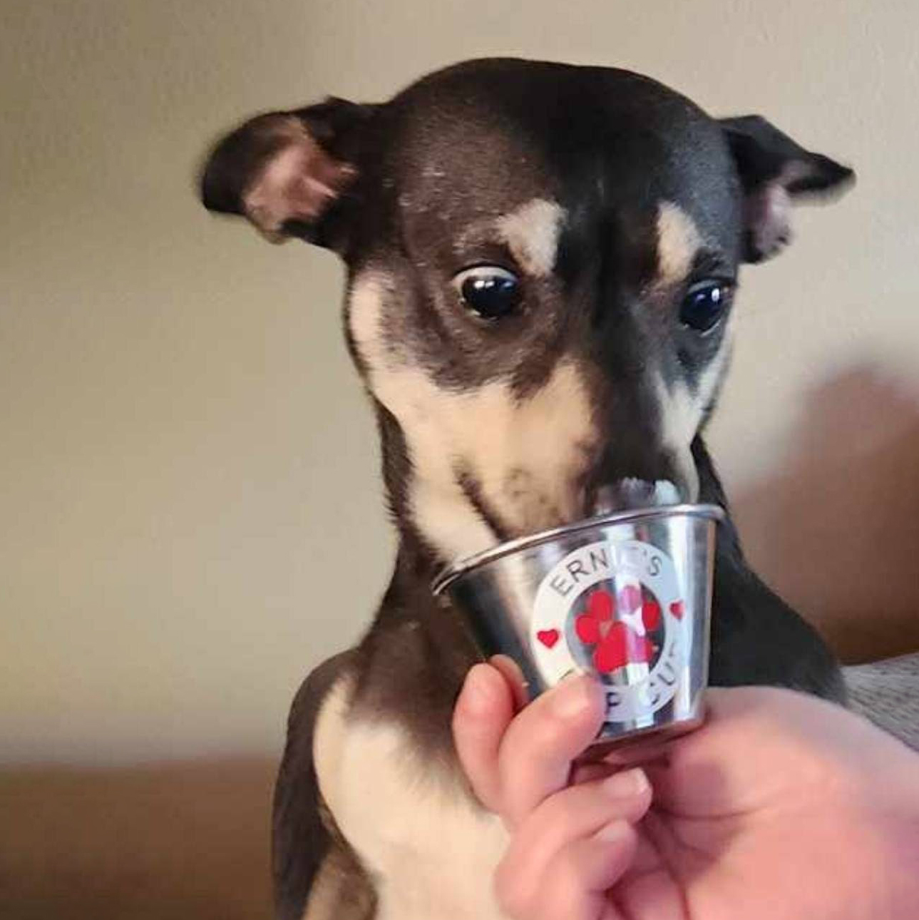 Personalized Valentine’s Day Pet Gift Pup Cup Mug | BKPet285