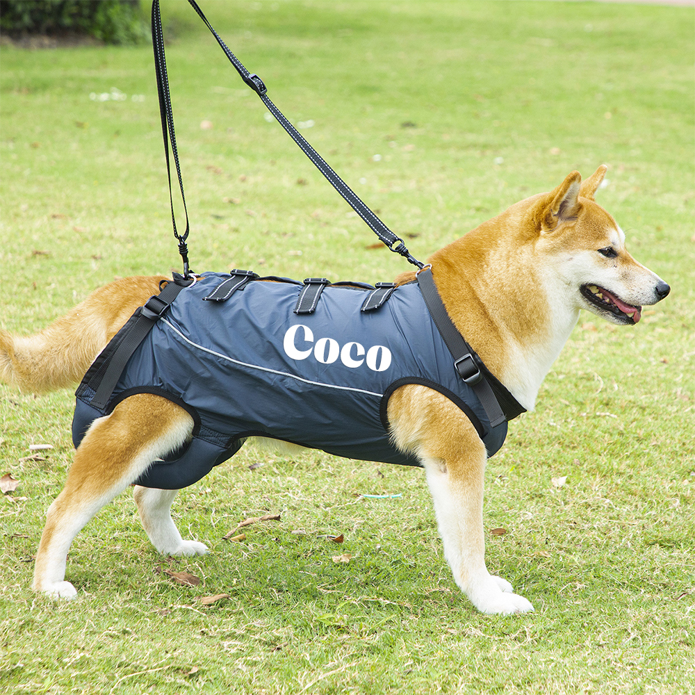 Personalized Adjustable Pet Lifting Harness Breathable Full Body Support | BKPet309