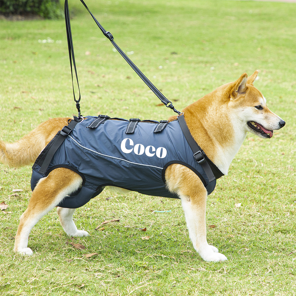 Personalized Adjustable Pet Lifting Harness Breathable Full Body Support | BKPet309