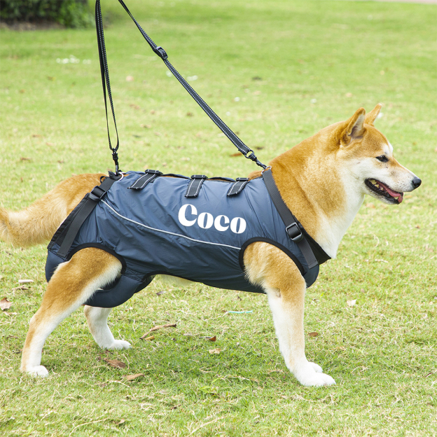 Personalized Adjustable Pet Lifting Harness Breathable Full Body Support | BKPet309