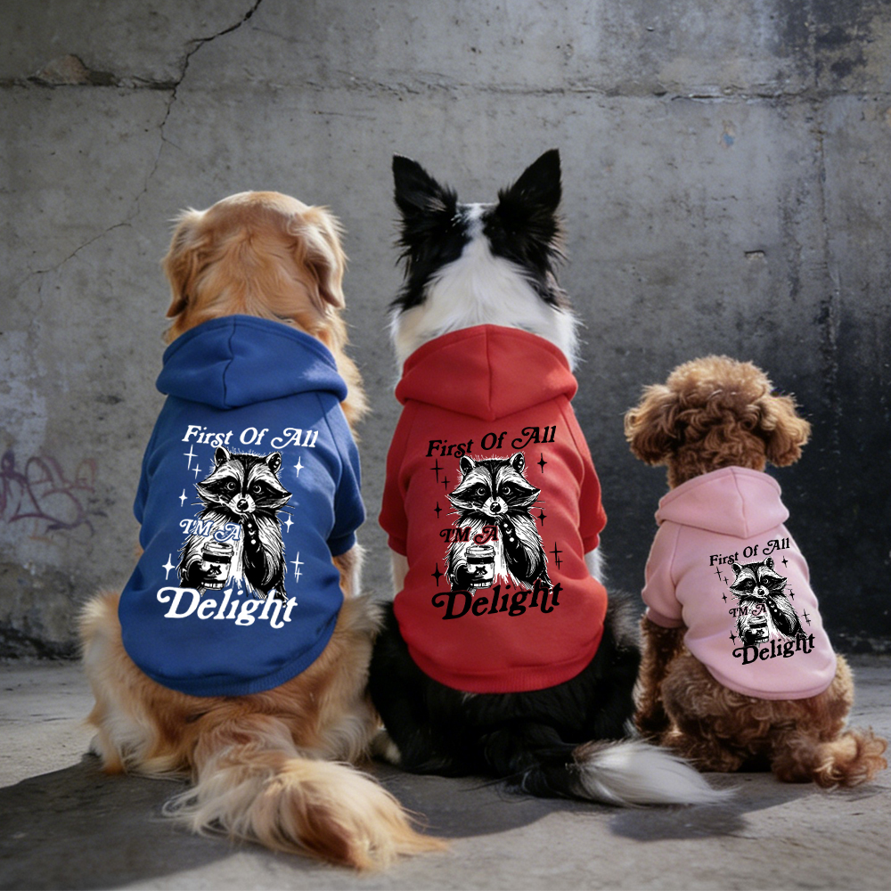FIRST OF ALL I'M A DELIGHT Puppy Hoodie | BKPet321