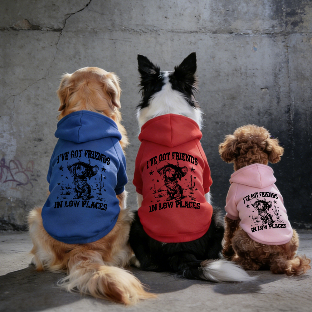 I'VE GOT FRIENDS Puppy Hoodie | BKPet340