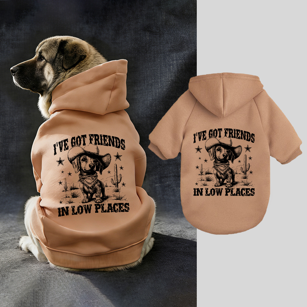 I'VE GOT FRIENDS Puppy Hoodie | BKPet340