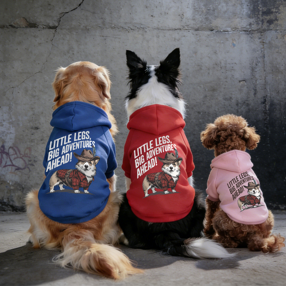 LITTLE LEGS BIG ADVENTURES AHEAD Puppy Hoodie | BKPet341