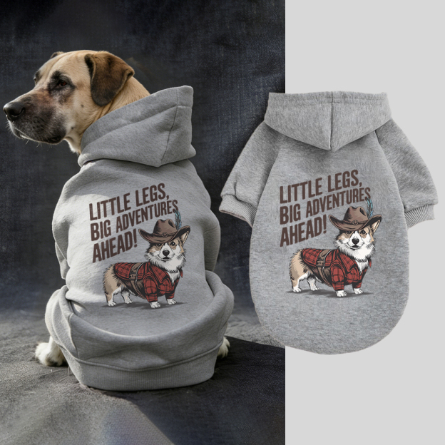 LITTLE LEGS BIG ADVENTURES AHEAD Puppy Hoodie | BKPet341