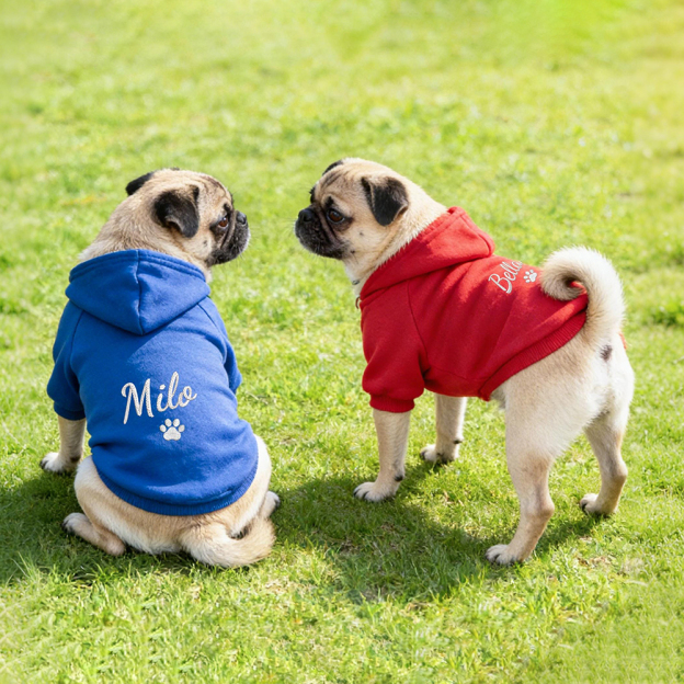 Personalized Embroidery Warm Soft Puppy Hoodie | BKPet362