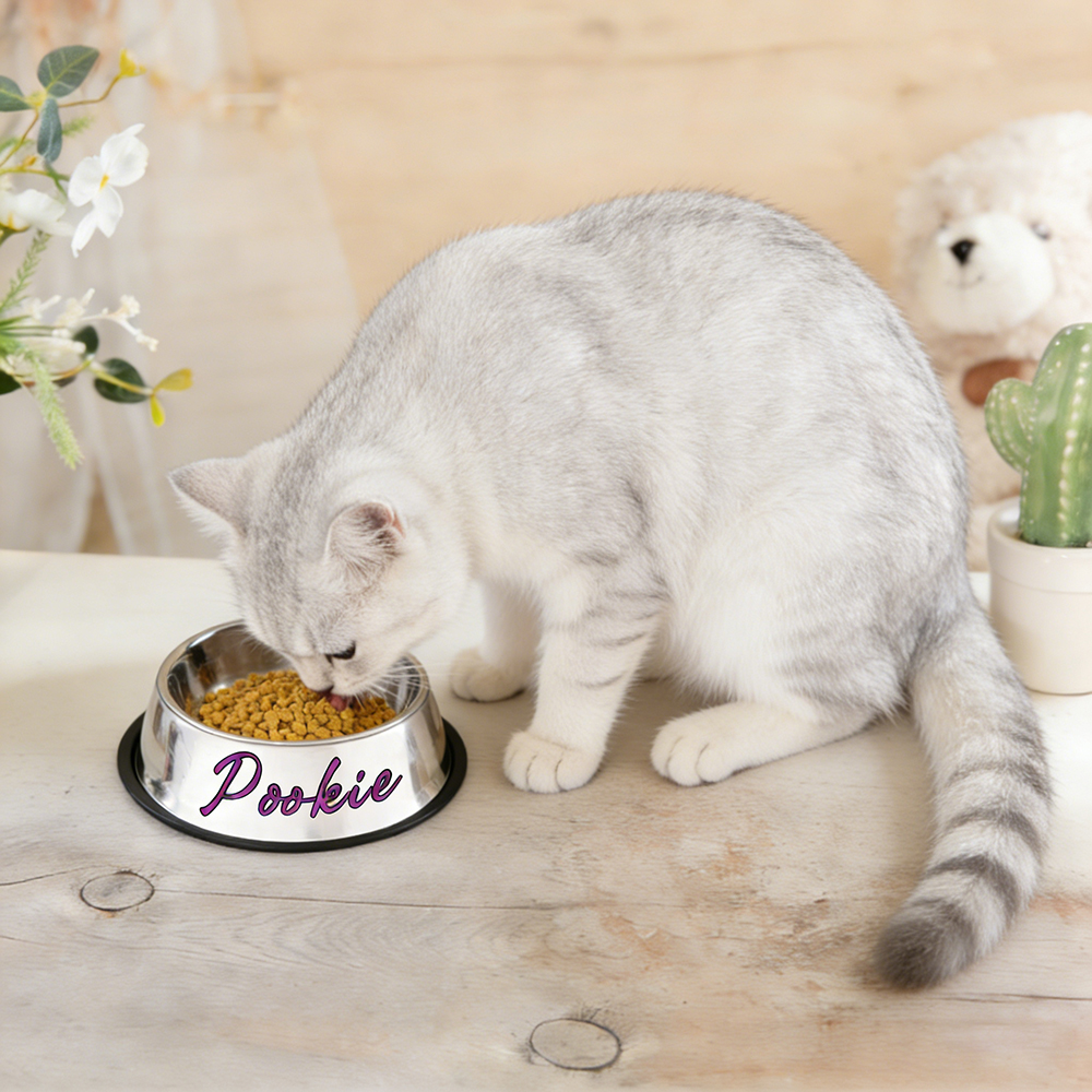 Personalized Pet Stainless Steel Anti-slip Food Bowl | BKPet367