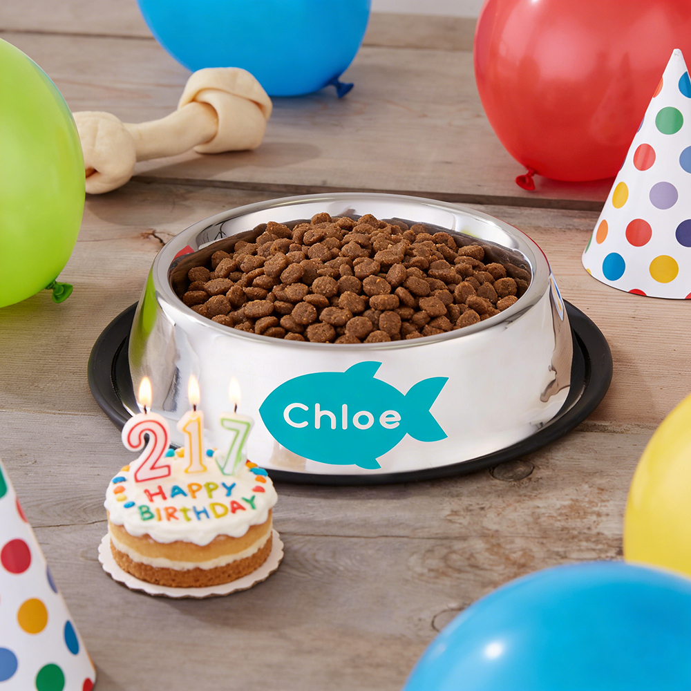 Personalized Pet Icon Stainless Steel Anti-slip Food Bowl | BKPet36701