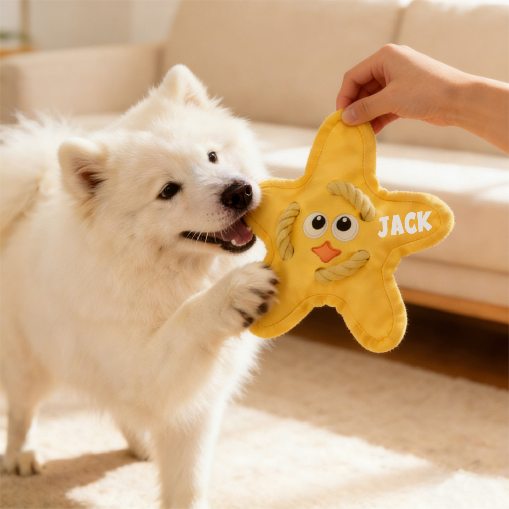 Personalized Star Flying Disc Squeaky Dog Toy | BKPet386