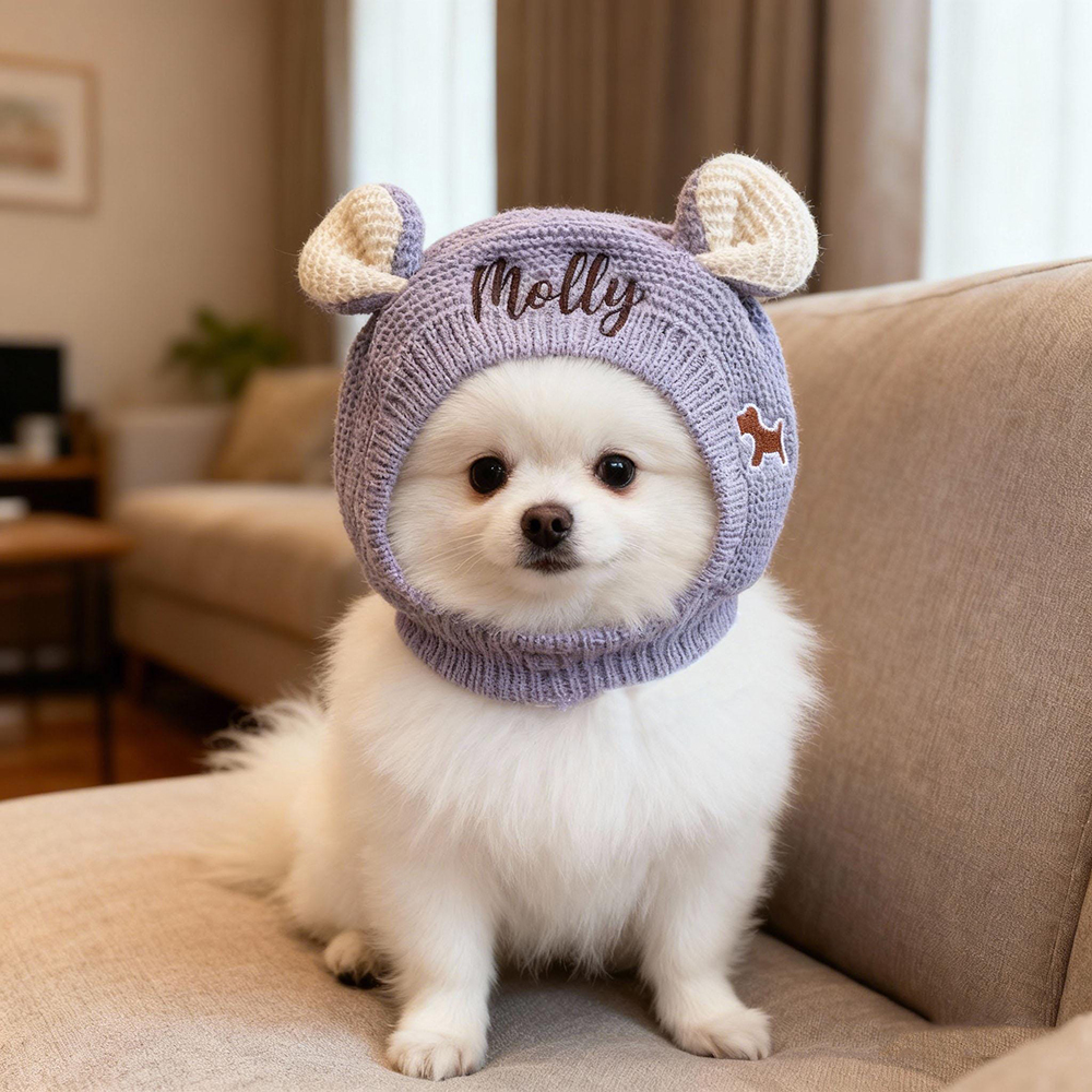 Personalized Embroidered Pet Winter Anti Noise Earmuffs Hat | BKPet206
