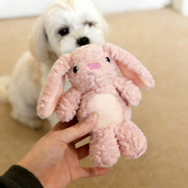 Handmade Pet Squeaky Interactive Chew Toy | BKPet396