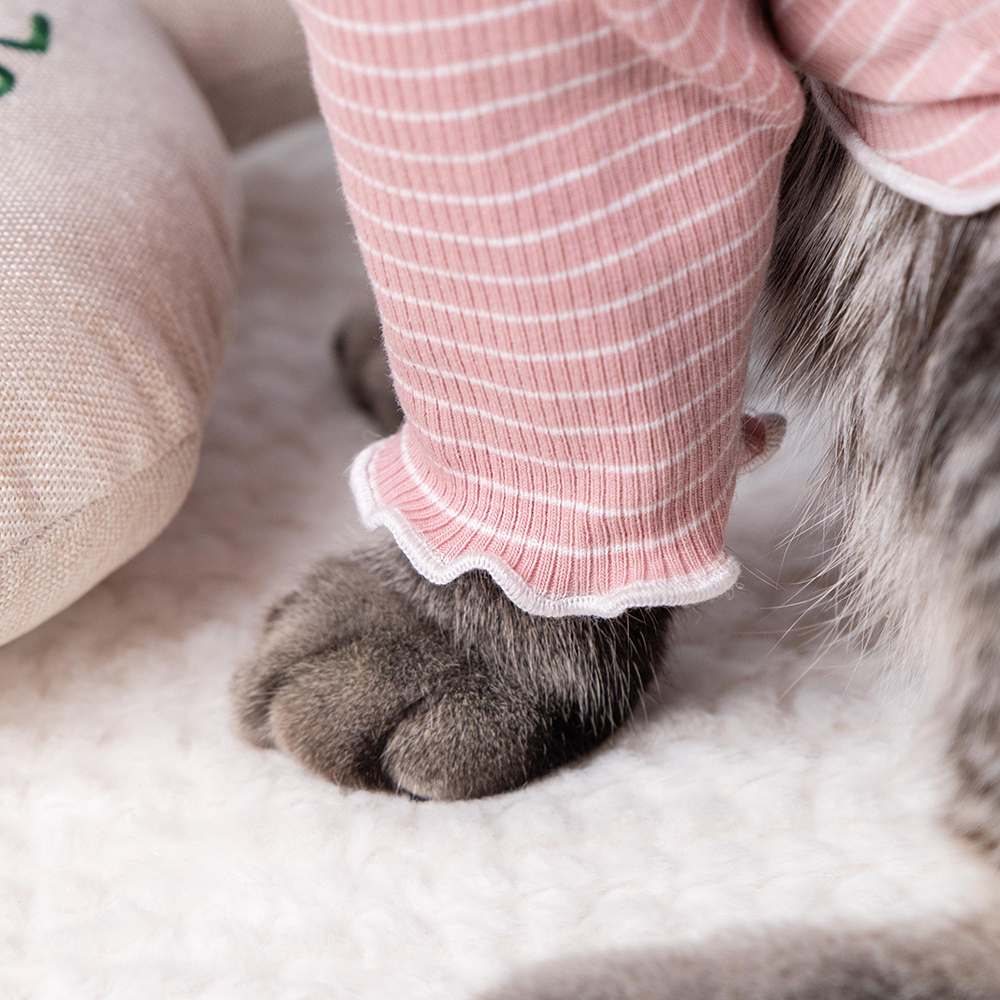 Personalized Embroidery Pet Cozy Cotton Sleepwear Pajamas | BKPet398