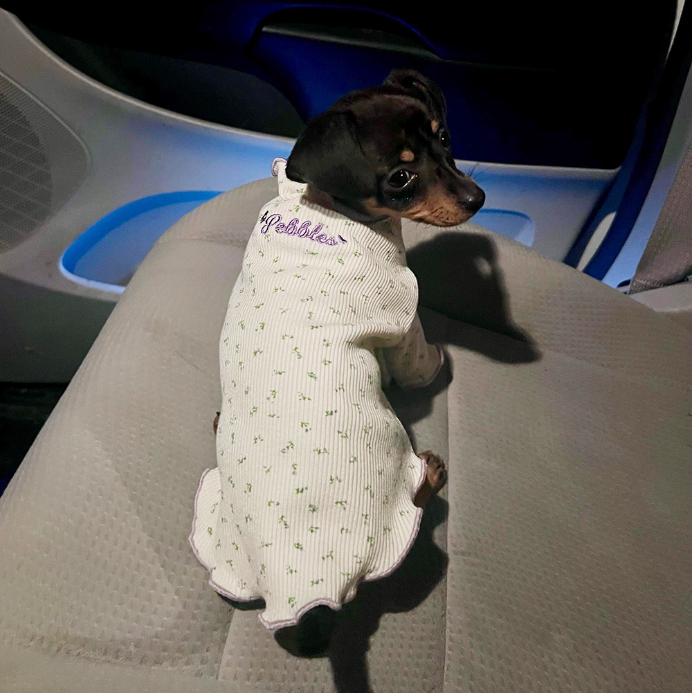 Personalized Embroidery Pet Cozy Cotton Sleepwear Pajamas | BKPet399