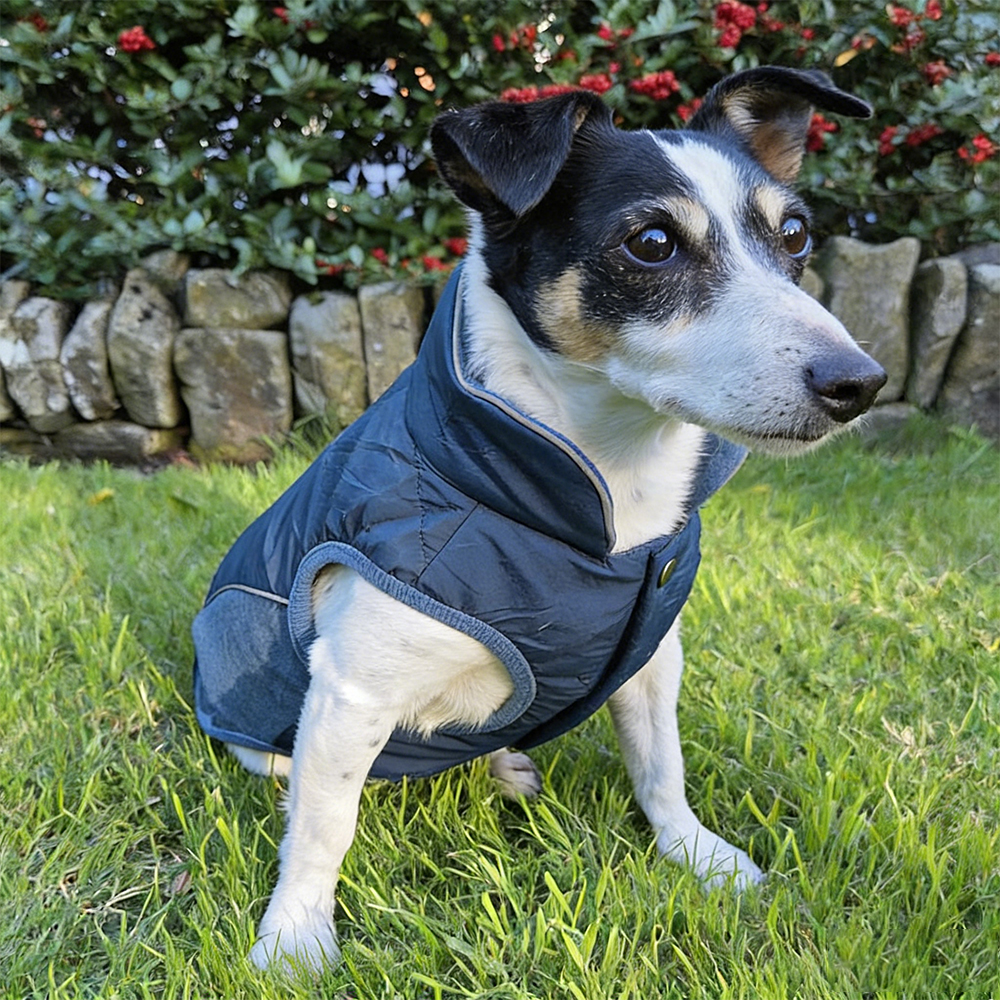 Personalized Pet Large Size Winter Warm Puffer Vest | BKPet404