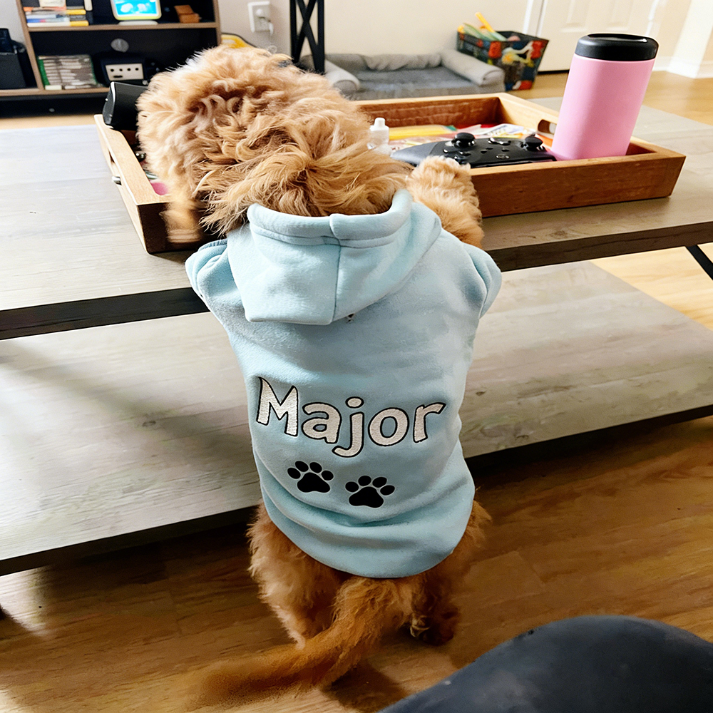 Personalized Embroidered Pet Comfortable Soft Hoodie | BKPet419