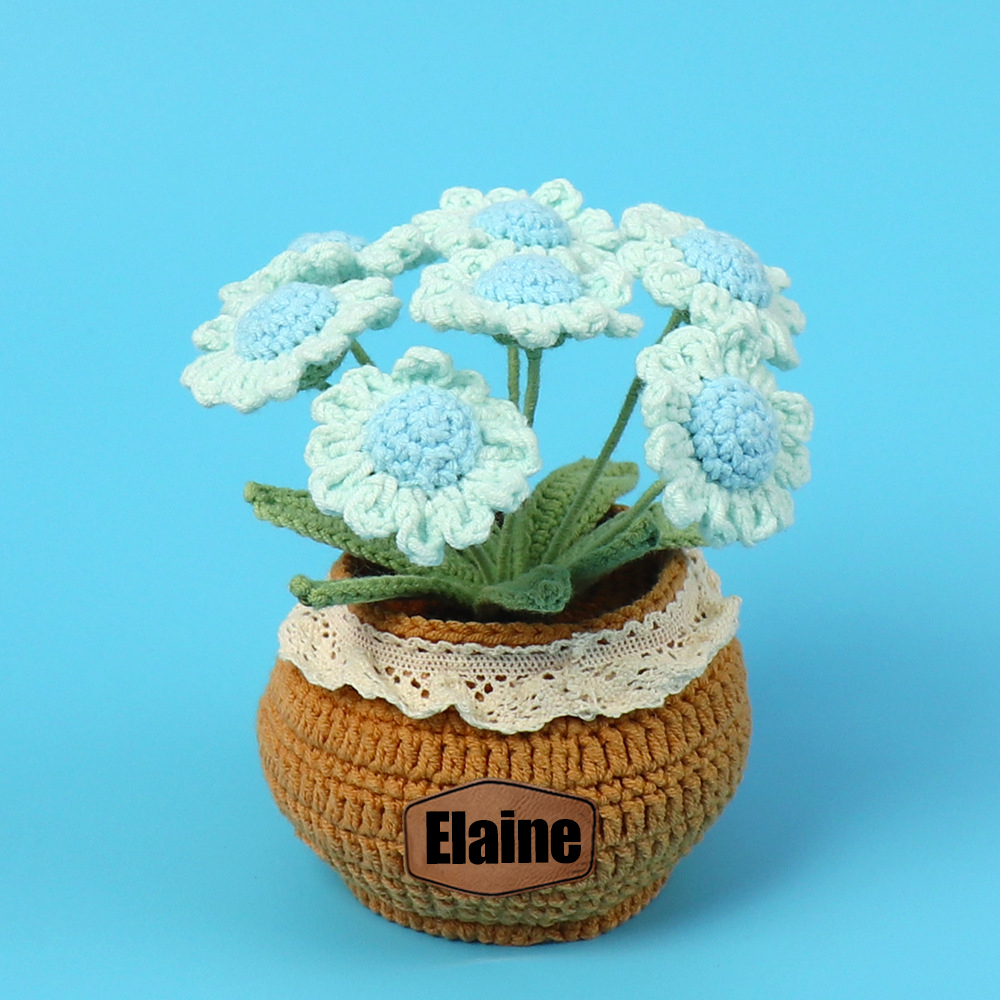 Personalized Crochet Flower in the Pot｜Gift For Mom  | CWMom17