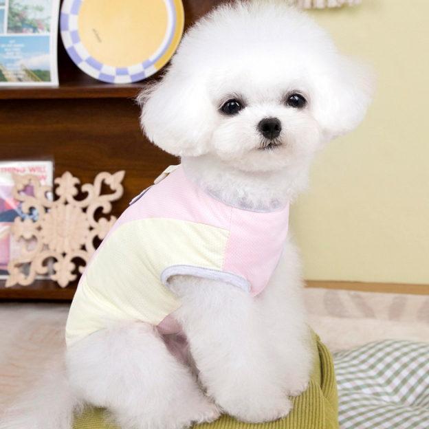 Personalized Breathable Pet Summer Cool Mesh Vest | BKPet450
