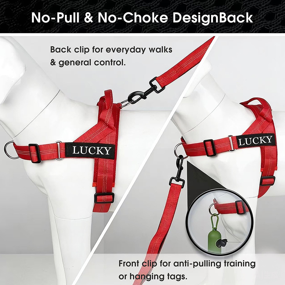 Personalized Embroidered Dog Harness & Leash Set | BKPet462