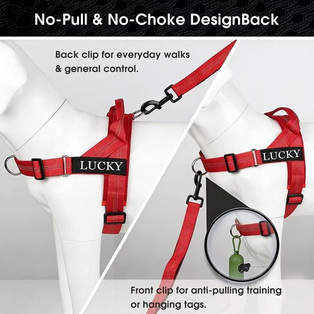 Personalized Embroidered Dog Harness & Leash Set | BKPet462