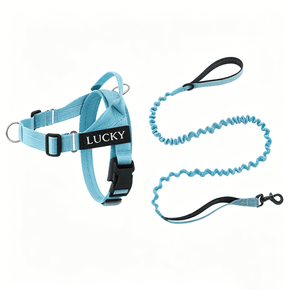 Personalized Embroidered Dog Harness & Leash Set | BKPet462