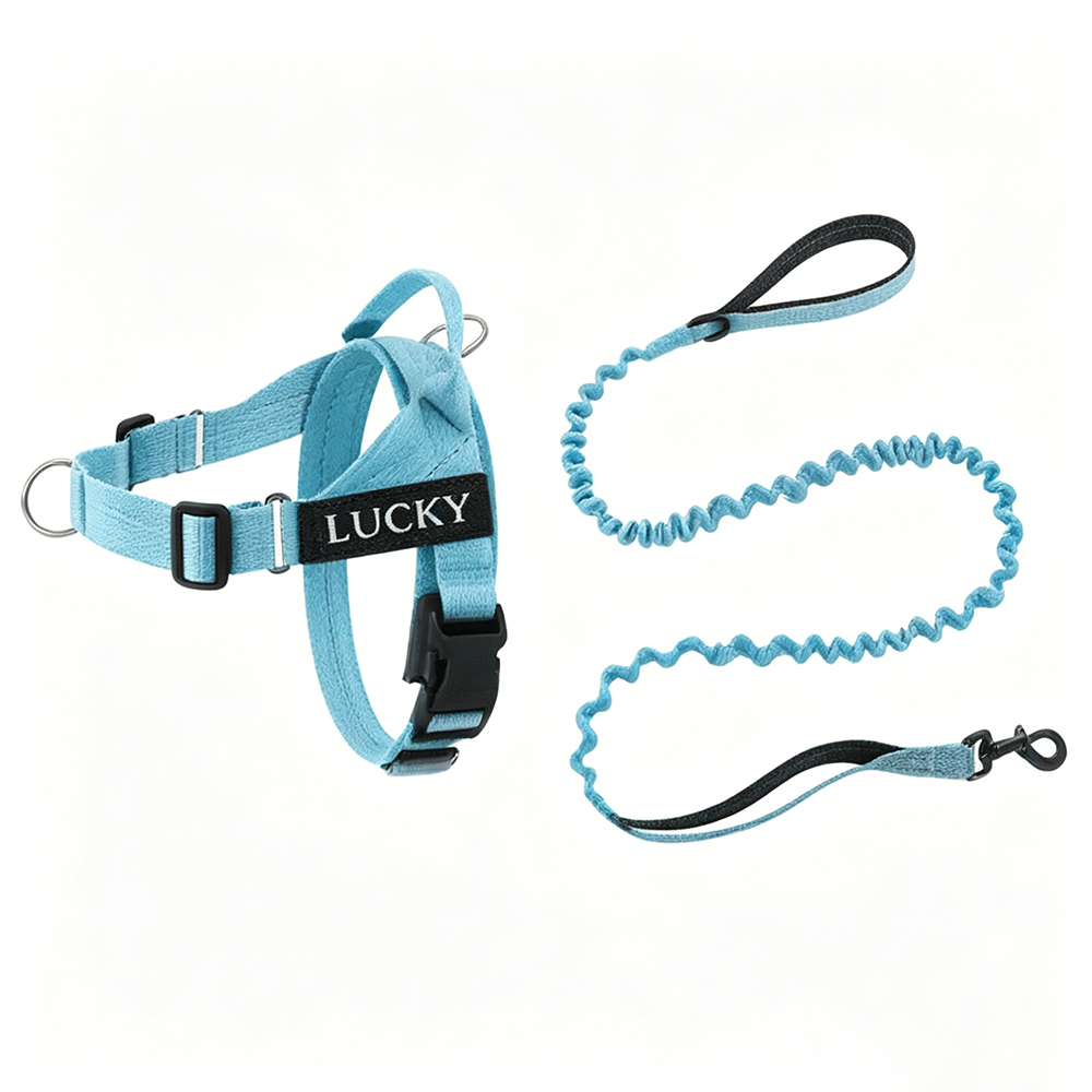 Personalized Embroidered Dog Harness & Leash Set | BKPet462